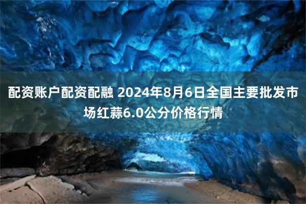 配资账户配资配融 2024年8月6日全国主要批发市场红蒜6.0公分价格行情