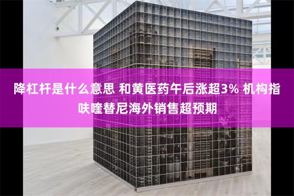 降杠杆是什么意思 和黄医药午后涨超3% 机构指呋喹替尼海外销售超预期