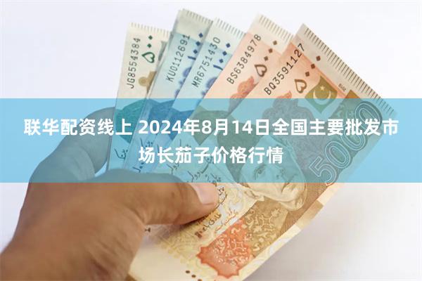 联华配资线上 2024年8月14日全国主要批发市场长茄子价格行情