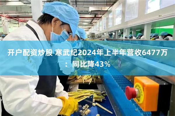 开户配资炒股 寒武纪2024年上半年营收6477万：同比降43%