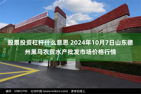 股票投资杠杆什么意思 2024年10月7日山东德州黑马农贸水产批发市场价格行情