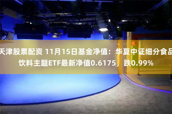 天津股票配资 11月15日基金净值：华夏中证细分食品饮料主题ETF最新净值0.6175，跌0.99%