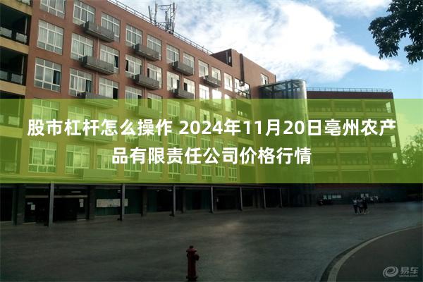 股市杠杆怎么操作 2024年11月20日亳州农产品有限责任公司价格行情