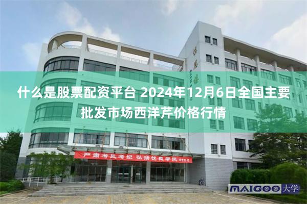 什么是股票配资平台 2024年12月6日全国主要批发市场西洋芹价格行情