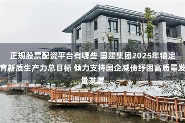 正规股票配资平台有哪些 国建集团2025年锚定培育新质生产力总目标 倾力支持国企减债纾困高质量发展