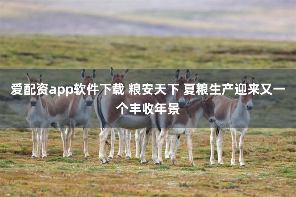 爱配资app软件下载 粮安天下 夏粮生产迎来又一个丰收年景